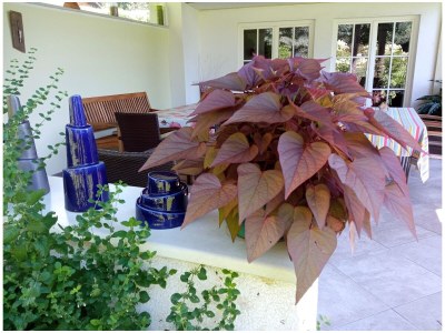 Holiday apartment Arztmann-Nussbaum Cottage - Outdoor photo 6