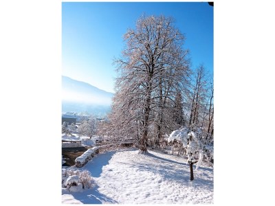 Holiday apartment Arztmann-Nussbaum Cottage - Outdoor photo 9