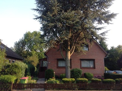 Holiday apartment In the south of Hamburg - Outdoor photo 3