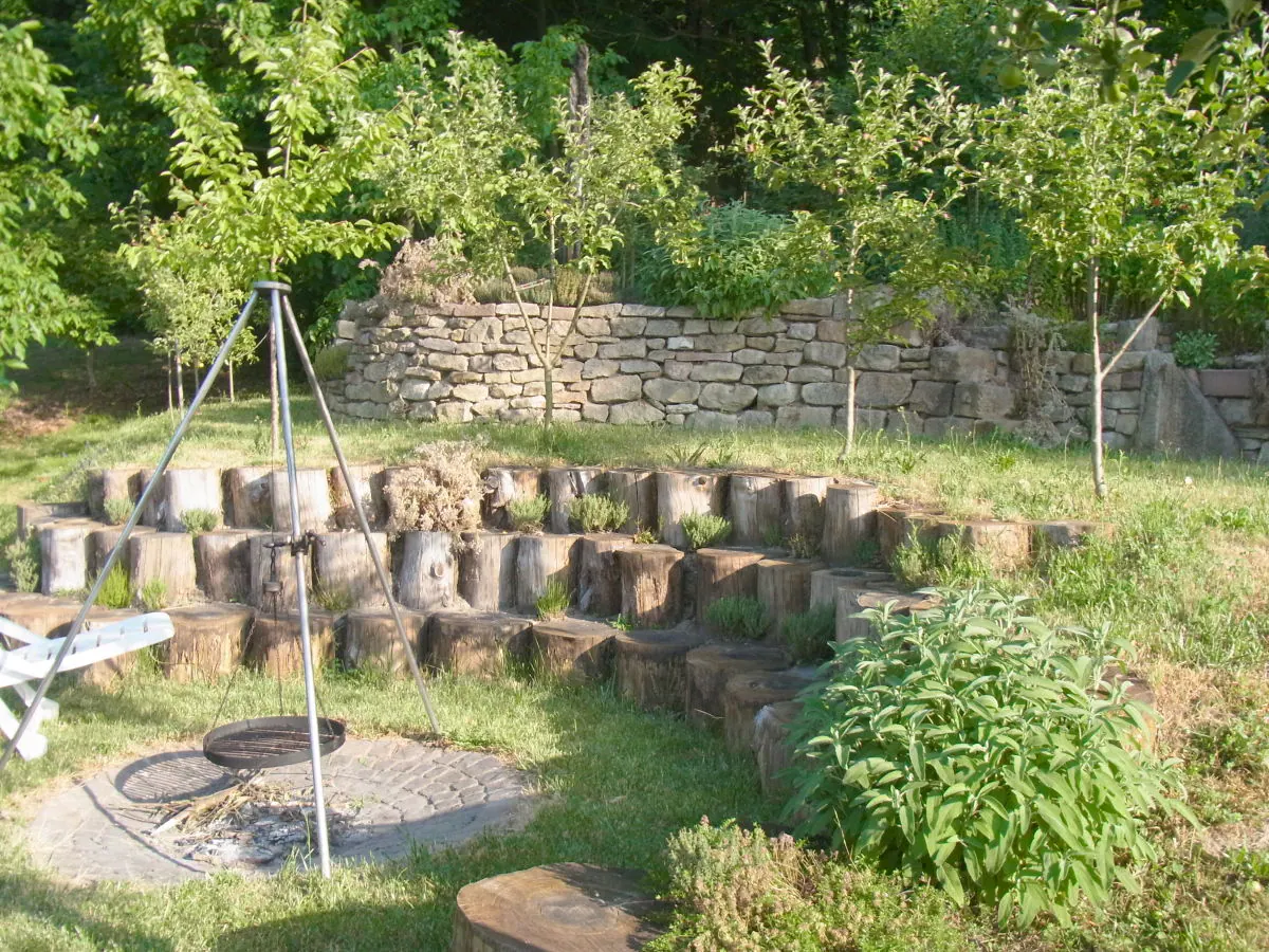 Holiday apartment Pfaelzerleben (Palatinate experience) - Outdoor photo 4