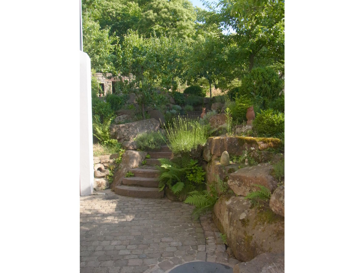 Holiday apartment Pfaelzerleben (Palatinate experience) - Outdoor photo 5