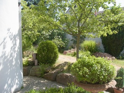 Holiday apartment Pfaelzerleben (Palatinate experience) - Outdoor photo 3