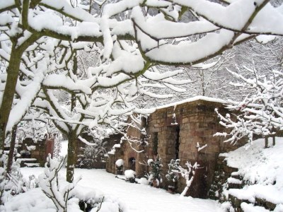 Holiday apartment Pfaelzerleben (Palatinate experience) - Outdoor photo 6