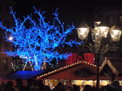 Holiday apartment Pfaelzerleben (Palatinate experience) - Environment photo 15