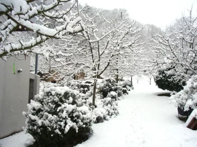 Holiday apartment Pfaelzerleben (Palatinate experience) - Environment photo 19