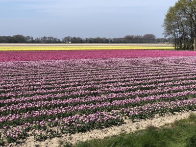 Bungalow Aquaronde 119 - Environment photo 28
