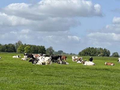 Bungalow Aquaronde 119 - Environment photo 29