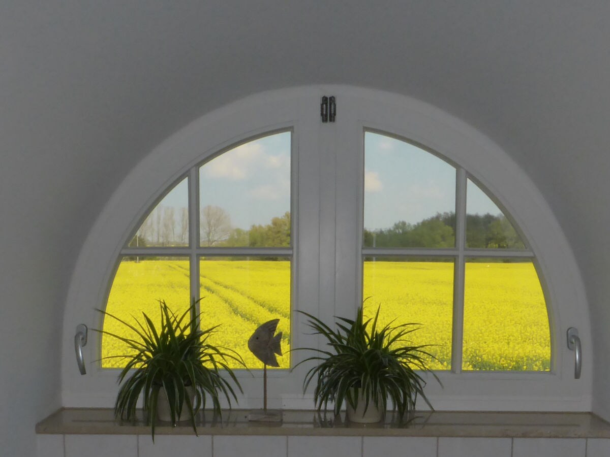 Holiday house Crane - Outdoor photo 5