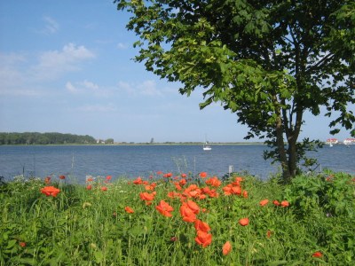 Holiday house Crane - Outdoor photo 7