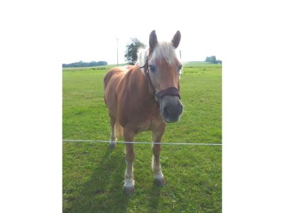 Holiday house Crane - Outdoor photo 8
