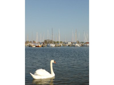 Holiday house Crane - Environment photo 21