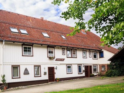 Holiday apartment Olivia - Outdoor photo 4