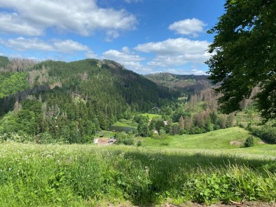 Holiday apartment Olivia - Outdoor photo 8