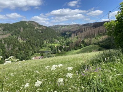 Holiday apartment Olivia - Outdoor photo 9