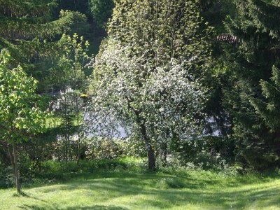 Holiday apartment Olivia - Environment photo 23