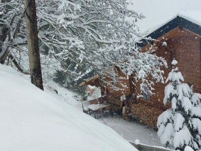 Chalet La Pente - Outdoor photo 9