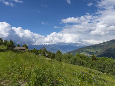 Chalet La Pente - Environment photo 40