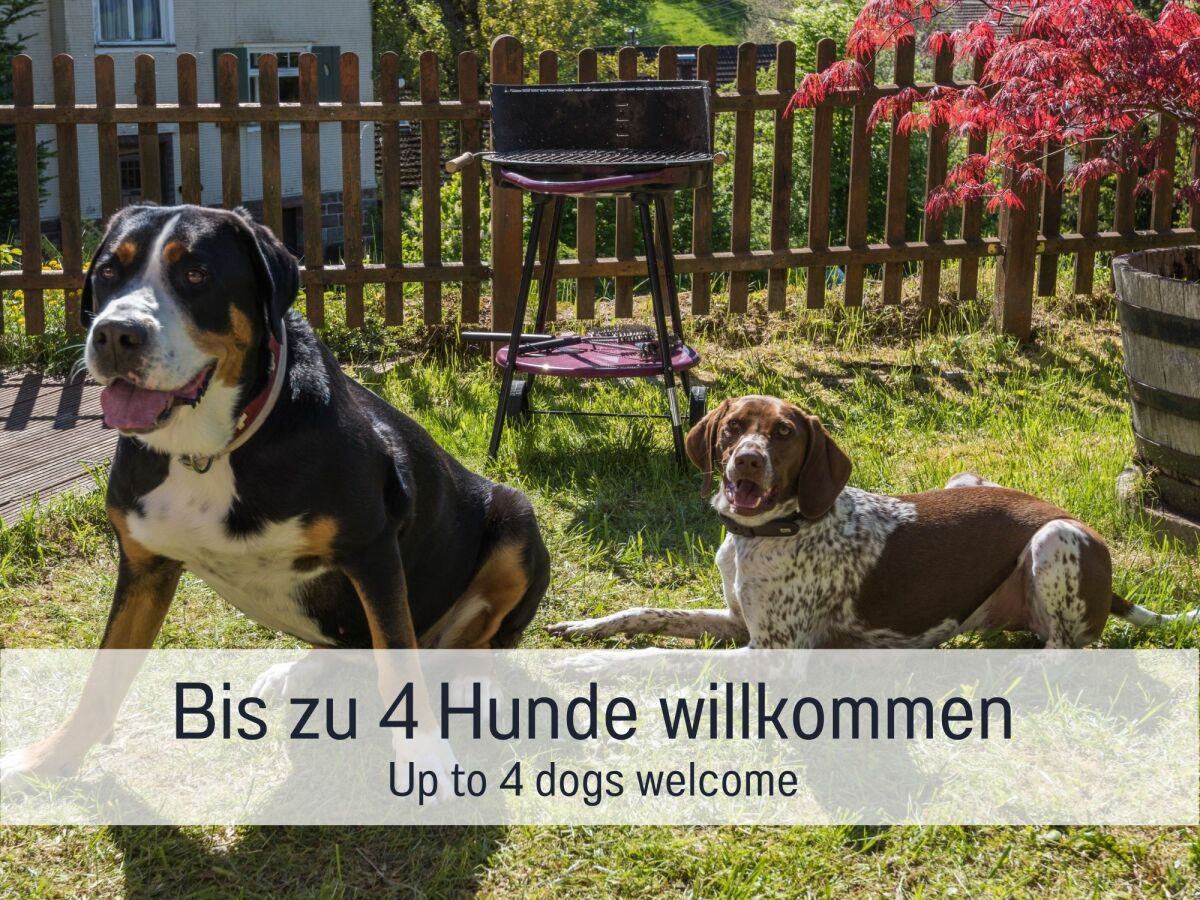 Holiday house Timber house Enzklösterle - Features photo 4