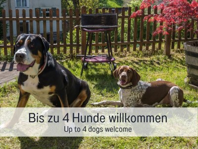 Holiday house Timber house Enzklösterle - Features photo 4