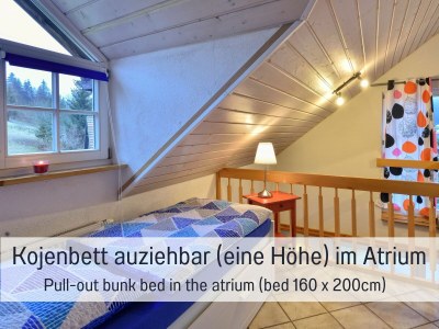 Holiday house Timber house Enzklösterle - Features photo 30