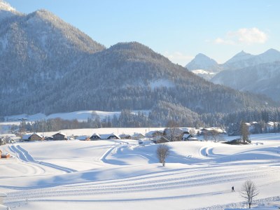 Holiday apartment Number 3 at the Alpenblick Guesthouse - Outdoor photo 15
