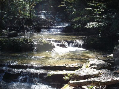 Holiday apartment Number 3 at the Alpenblick Guesthouse - Environment photo 30