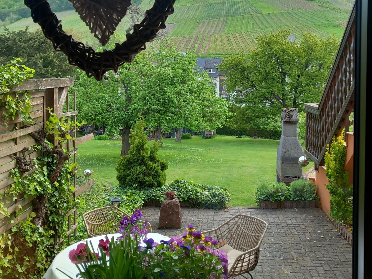 Holiday apartment Moselperle 1 Vineyard - Outdoor photo 2