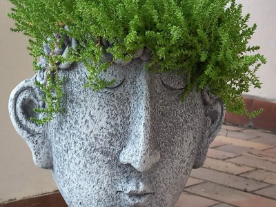 Holiday apartment Moselperle 1 Vineyard - Outdoor photo 3