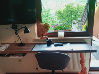 Holiday apartment Moselperle 1 Vineyard - Features photo 7