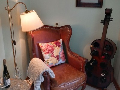 Holiday apartment Moselperle 1 Vineyard - Features photo 9