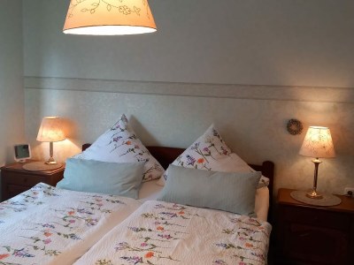 Holiday apartment Moselperle 1 Vineyard - Features photo 11