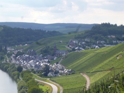 Holiday apartment Moselperle 1 Vineyard - Environment photo 15