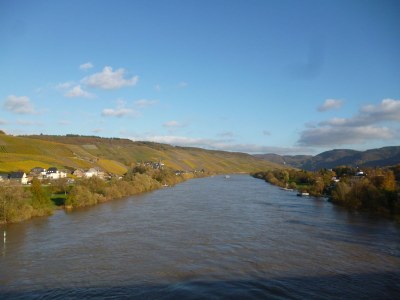 Holiday apartment Moselperle 1 Vineyard - Environment photo 18