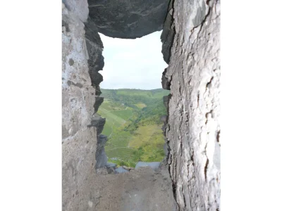 Holiday apartment Moselperle 1 Vineyard - Environment photo 19