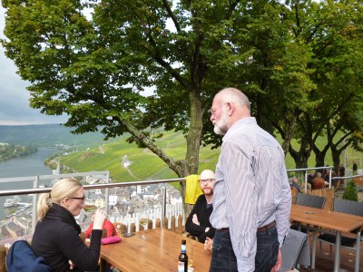 Holiday apartment Moselperle 1 Vineyard - Environment photo 23