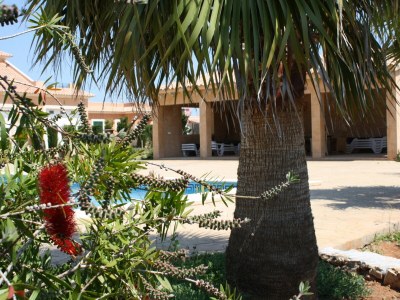 Holiday house Yacaranda - Outdoor photo 5