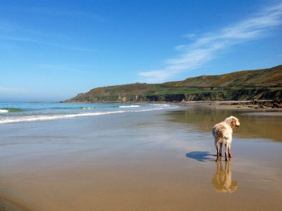 Holiday house La Bergerie - Environment photo 14