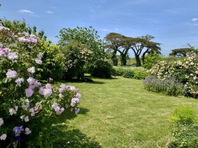Holiday house F1421 Ploemeur-gr - Outdoor photo 3