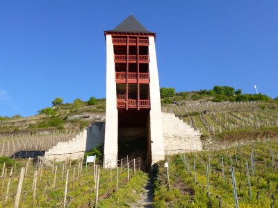 Holiday apartment Gästehaus Rheinromantik - Environment photo 12