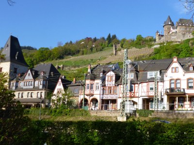 Holiday apartment Gästehaus Rheinromantik - Environment photo 17