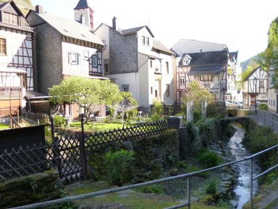 Holiday apartment Gästehaus Rheinromantik - Environment photo 18