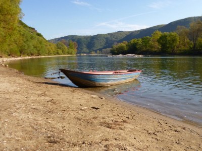 Holiday apartment Gästehaus Rheinromantik - Environment photo 19