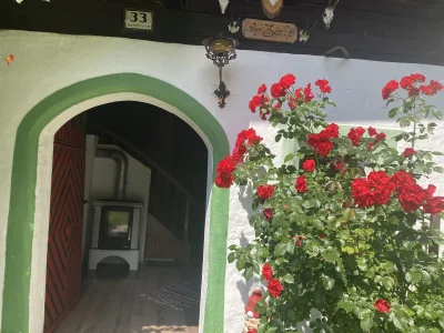 Holiday house old farmer house - Outdoor photo 7