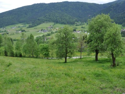 Holiday house old farmer house - Outdoor photo 12