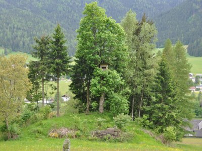 Holiday house old farmer house - Outdoor photo 15