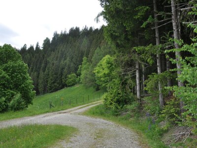 Holiday house old farmer house - Outdoor photo 16