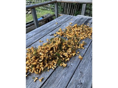 Holiday house old farmer house - Environment photo 39