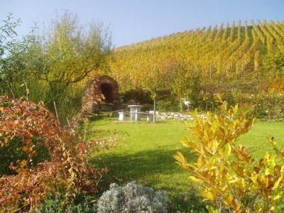 Holiday apartment Holiday farm Mayer - Apartment 2 - Outdoor photo 8