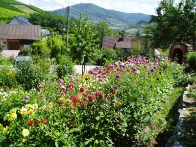 Holiday apartment Holiday farm Mayer - Apartment 2 - Outdoor photo 9