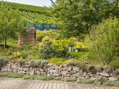 Holiday apartment Holiday farm Mayer - Apartment 2 - Outdoor photo 12